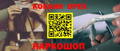 гидра Будённовск