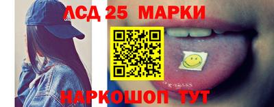гидра Будённовск