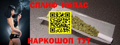 гидра Будённовск