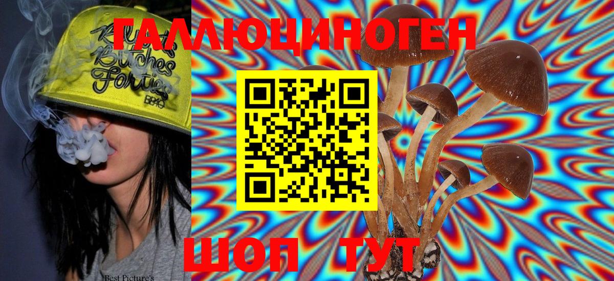 Нарткала  Галлюциногенные грибы Psilocybe  Вход с VPN 